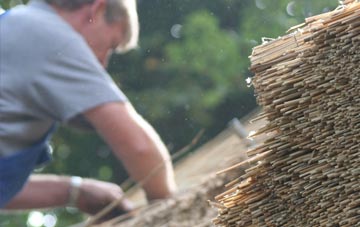 professional Nupdown thatchers